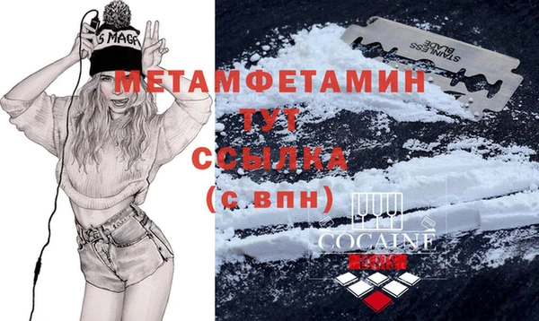 прущие грибы Баксан