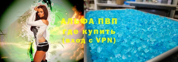 прущие грибы Баксан