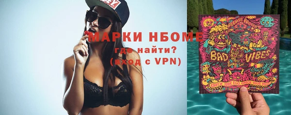 прущие грибы Баксан
