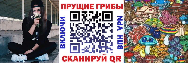 kraken зеркало  Беломорск  Псилоцибиновые грибы мицелий  где купить наркотик 